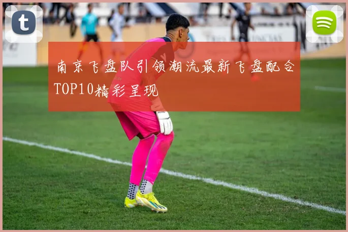 南京飞盘队引领潮流最新飞盘配合TOP10精彩呈现