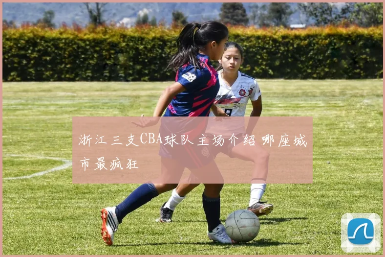 浙江三支CBA球队主场介绍 哪座城市最疯狂