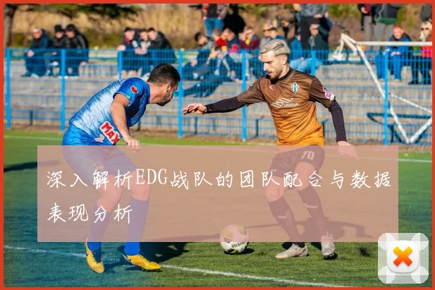 深入解析EDG战队的团队配合与数据表现分析